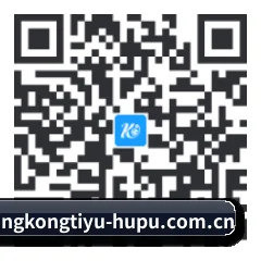 iOS 移动端 二维码(xingkong)