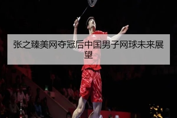 张之臻美网夺冠后中国男子网球未来展望 | xingkong